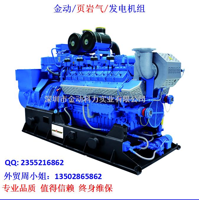 【深圳頁巖氣發(fā)電機】 發(fā)展趨勢無懈可擋！